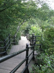 Montreal - Parcul Mont Royal