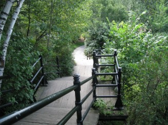 Montreal - Parcul Mont Royal