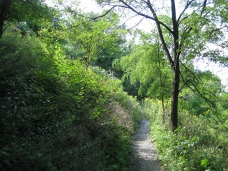 Montreal - Parcul Mont Royal