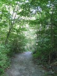 Montreal - Parcul Mont Royal