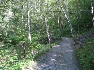 Montreal - Parcul Mont Royal