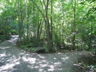 Montreal - Parcul Mont Royal