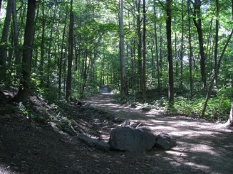 Montreal - Parcul Mont Royal