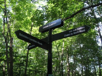 Montreal - Parcul Mont Royal