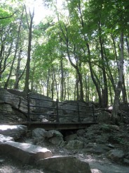 Montreal - Parcul Mont Royal