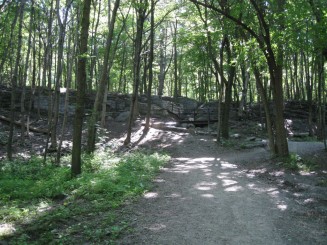 Montreal - Parcul Mont Royal