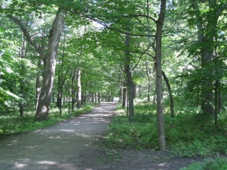 Montreal - Parcul Mont Royal