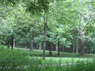 Montreal - Parcul Mont Royal