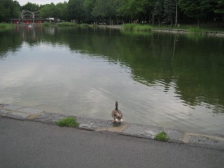 Parcul Mont-Royal (4) - Cabana si Lacul castorilor