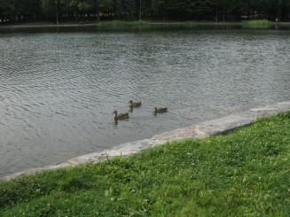 Parcul Mont-Royal (4) - Cabana si Lacul castorilor