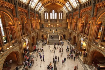 Sala centrala - Natural History Museum