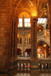 Sala centrala - Natural History Museum