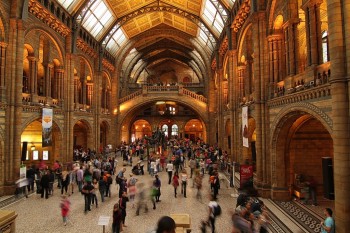 Sala centrala - Natural History Museum