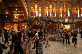 Sala centrala - Natural History Museum