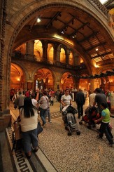 Sala centrala - Natural History Museum