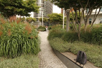 Canary Warf