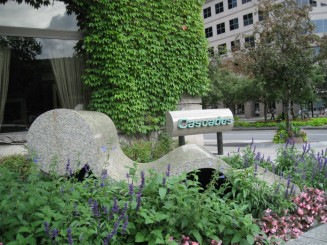 Montreal, un pic de arta urbana