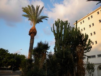 Nissi Beach (Agia Napa) - Cipru