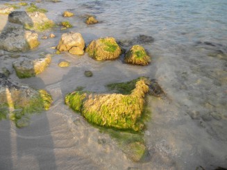 Nissi Beach (Agia Napa) - Cipru
