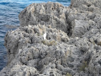 Nissi Beach (Agia Napa) - Cipru