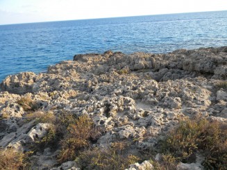 Nissi Beach (Agia Napa) - Cipru