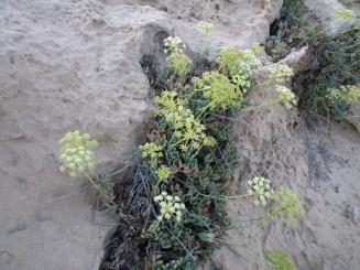 Capul Gkreko,  în apropiere de Agia Napa - Cipru