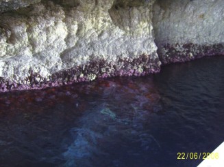 Golden Bay - Manikata (Malta)