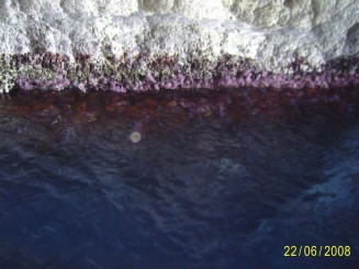 Golden Bay - Manikata (Malta)