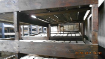 Asa arata o baraca din Birkenau