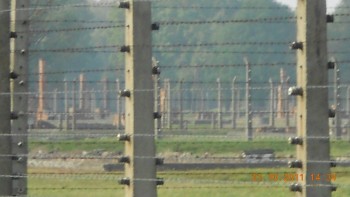 Birkenau-se vad hornurile ramase dupa ce parte din lemn a fost utilizata ca lemn de foc pentru ostasii sovietici