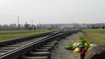 Birkenau