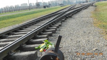 Birkenau