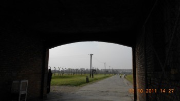 Birkenau
