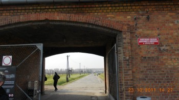 Birkenau