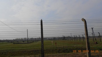 Birkenau