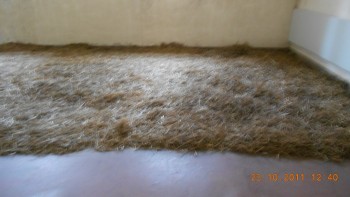 Un loc unde n-as reveni.