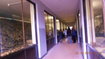 Un loc unde n-as reveni.