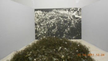 Obiecte din muzeu-ochelari