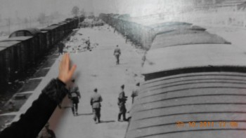 Imagini din muzeu - Rampa de colectare a bagajelor