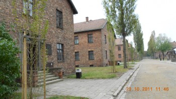 Auschwicz I