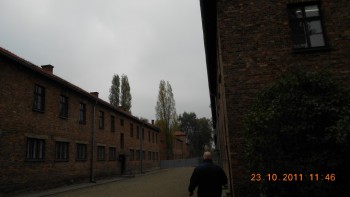 Auschwicz I