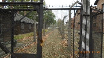 Intrarea in Auschwicz