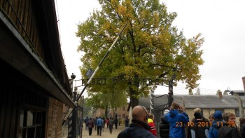 Intrarea in Auschwicz