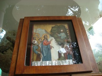 Biserica Sfantul Elisei şi Dudul lui Zaheu- Ierihon (Palestina)