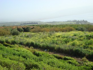 Marea Galileei - Tiberias (Israel)