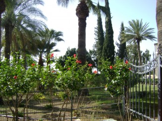 Biserica de pe Muntele Fericirilor - Israel