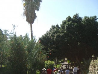 Biserica Priorităţii lui Petru - Tabgha (Israel)