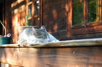 Prin Herastrau si Muzeul Satului