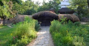 Bordei Castranova, Dolj, XIX