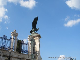 Interior, Cetate, Pasarea sfanta a maghiarilor Turulmadar